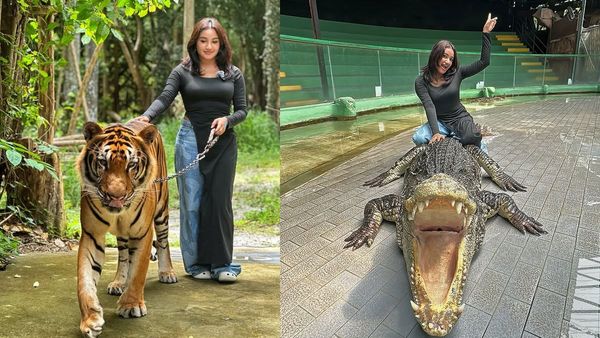 ஆத்தி.. புலிக்கு பால் கொடுக்கிறாரே ரவீனா தாஹா.. முதலை முதுகிலேயே சவாரி.. ஜமாய்க்கிறாரே!