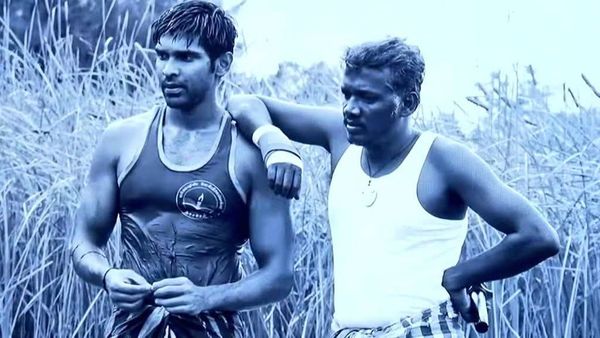 Bison Day 7 Box Office - பைசன் 7வது நாள் வசூல் இத்தனை கோடிதானா?.. முழு விவரம் இதோ