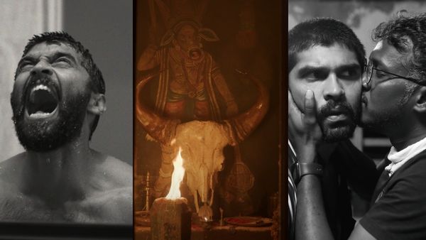 Bison Box Office: துருவ் விக்ரமின் தீபாவளி பிளாக்பஸ்டர்.. எத்தனை கோடிகள் வசூல் தெரியுமா?