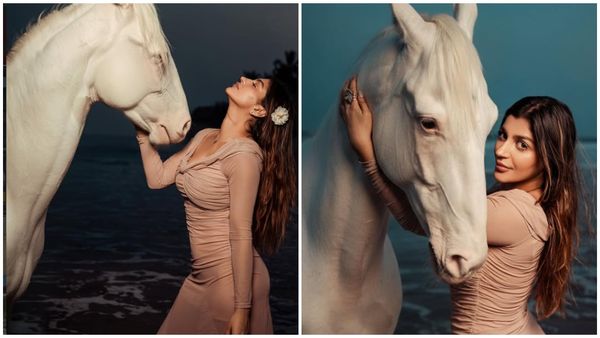 குதிரையுடன் மல்லுக்கட்டும் யாஷிகா ஆனந்த்... போட்டோவை பார்த்து கிண்டலடிக்கும் ஃபேன்ஸ்!