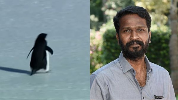 பென்குயின் டாக்குமெண்டரி எடுத்தவர் வெற்றி மாறனின் தீவிர ரசிகர்னு தெரியுமா? ஆஸ்காரில் நடந்த முரட்டு சம்பவம்