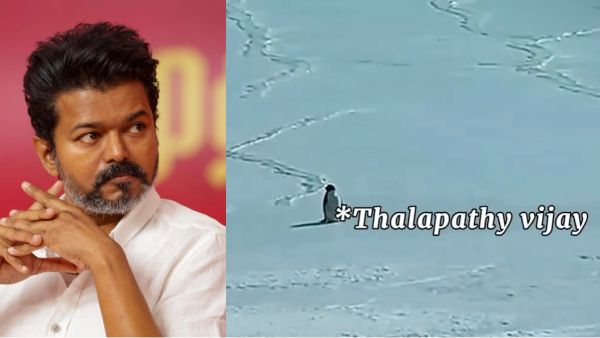 அந்த பென்குயினே எங்க அண்ணா விஜய் தான்.. வைரல் வீடியோவை வைத்து மீம்ஸ் போட்ட தளபதி ரசிகர்கள்!