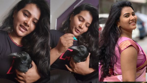 காக்காவை வளர்க்கும் டெஸ்லா குயின்.. ‘வாழை’ பட நடிகை திவ்யா துரைசாமிக்கு இப்படியொரு பழக்கமா?