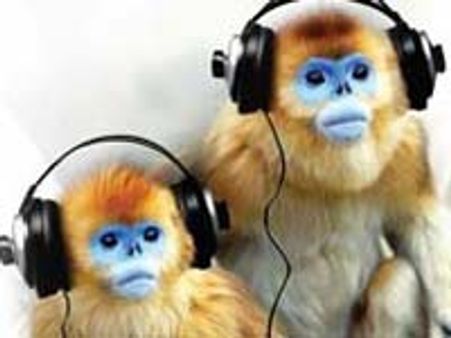 'నేనింతే' డైలాగ్ కరెక్టే!