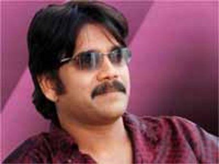 ఆ దర్శకుడు తో నాగార్జున?