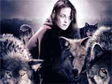 హాలీవుడ్ ట్రేడ్ రిపోర్ట్