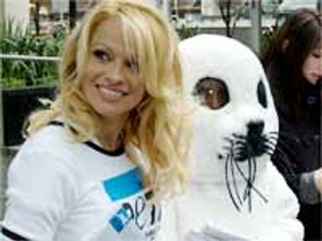 చెడగొట్టడంతో పాటు..అప్పుడప్పుడు కొన్ని మంచి పనులు..