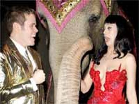 నిన్న గుడ్డలూడదీసింది..నేడు ఏనుగు ఎక్కింది..మరి రేపు..