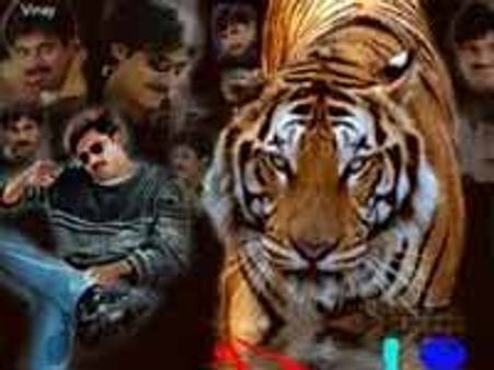 మొదటి వారం కలెక్షన్స్ తో పులి పిల్లి అయ్యింది..!