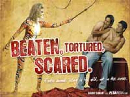 సర్కస్‌ లో పెట్టద్దు ప్లీజ్...రాఖీ సావంత్ అభ్యర్ధన