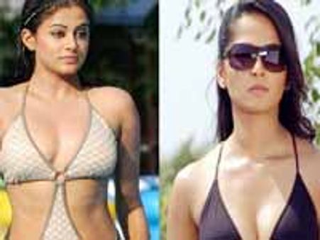 ప్రియమణి అందం ముందు అనుష్క అందం ఏమూలకంటున్న అభిమానులు