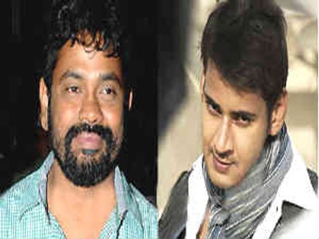 పూరి ‘బిజినెస్’ పక్కకు నెట్టి '100% లవ్’ డైరెక్టర్ తో మహేష్...?