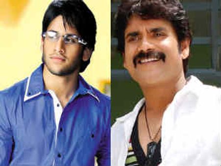 అక్కినేని ఫ్యామిలీలో తండ్రి కొడుకుల మధ్య సవాల్...!?