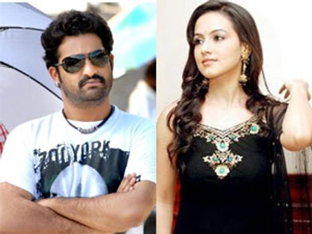 అన్న హీరోయిన్ ని లైన్ చేస్తున్న ఎన్టీఆర్