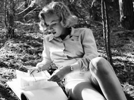 వేలం పాటలో మొట్టమొదటి సెలబ్రిటీ సెక్స్ టేప్