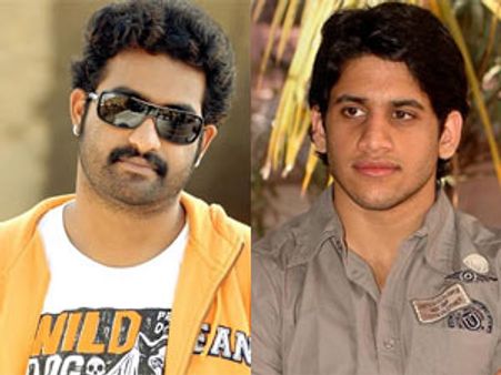 ఎన్టీఆర్ కూడా ఒప్పుకున్నాడని నాగచైతన్య