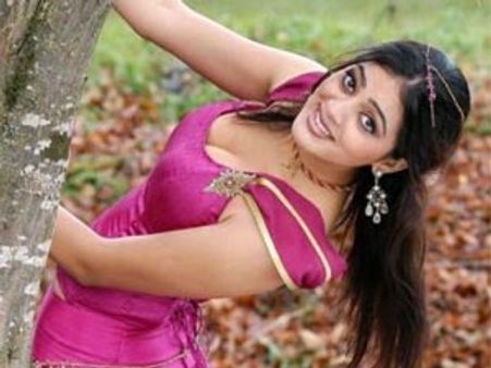 దూకుడులో దుమ్ము రేపిన పార్వతి మెల్టన్ పవన్ గబ్బర్ సింగ్ లో...!