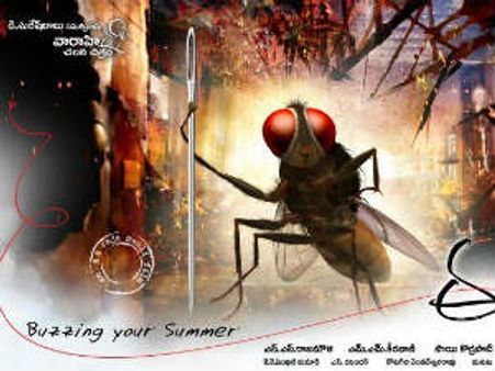 రాజమౌళి ఈగ ఫస్ట్ లుక్ ఇదే