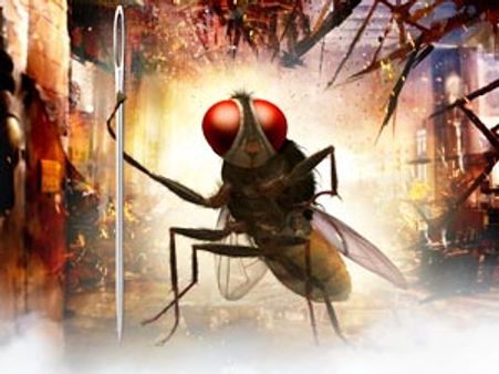 అబ్బో...రాజమౌళి ఈగ అంత తెలివైందా?