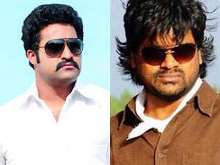 హరీష్ శంకర్ దర్శకత్వంలో జూ ఎన్టీఆర్