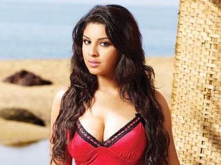 రవితేజకు మళ్లీ ఆమె అందాల ఘాటు..!