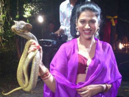 పాములతో మజా చేస్తున్న శ్రద్దాదాస్