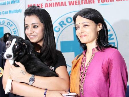 కుక్కల కోసం త్రిష.... త్రిష కోసం అభిమానులు!