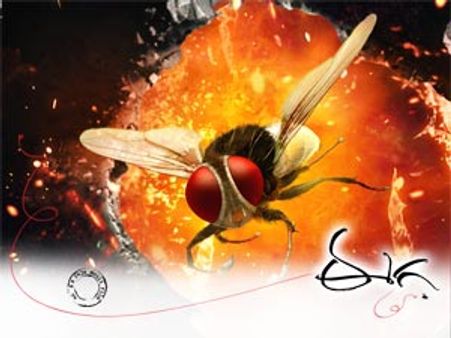 హాట్ టాపిక్: 'ఈగ' అక్కడ రిలీజ్ చెయ్యటం లేదు