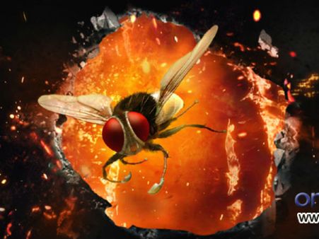 విజువల్ ట్రీటే కానీ...('ఈగ'రివ్యూ)