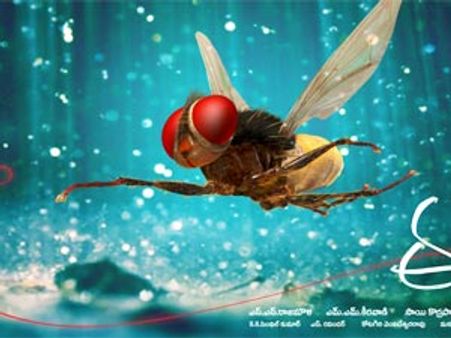 రాజమౌళి 'ఈగ' టాక్ ఏంటి?