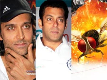 సల్మాన్, హృతిక్‌లను టార్గెట్ చేసిన ‘ఈగ’