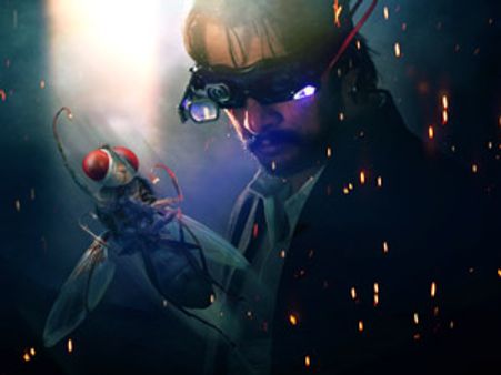 ‘ఈగ’తమిళ వెర్షన్ ఎంత వసూలు చేసింది?