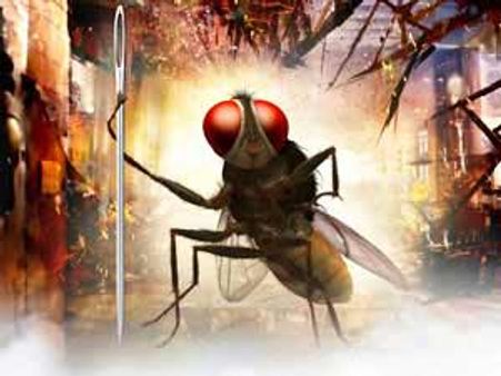 హాట్ టాపిక్: 'ఈగ' చిత్రం ఆ షార్ట్ పిలిం కాపీ?