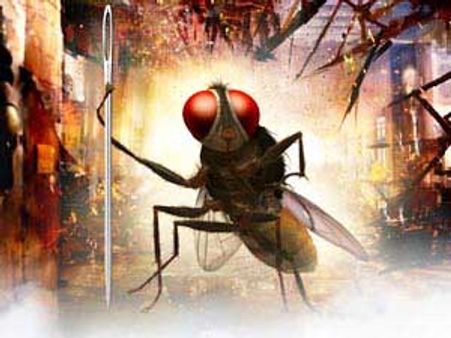 జపనీస్, స్వాహిలి భాషల్లో ‘ఈగ’