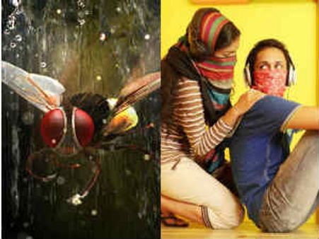 గోవా ఫెస్టివల్ లో తెలుగు సినిమాల పరిస్దితి