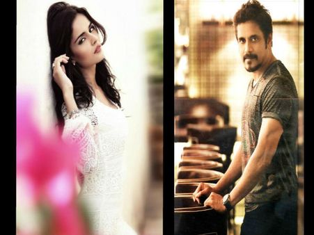 నాగార్జున ‘భాయ్’లో వర్మ ఫ్యాక్టరీ సెక్స్ బాంబ్