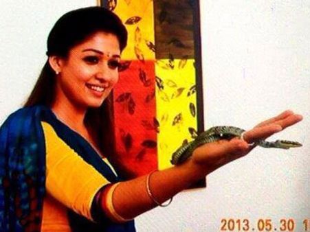 అరిచేతిలో నిజం పాముతో నయనతార (ఫొటో)