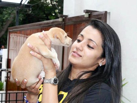 హీరోయిన్ త్రిషను అభినందించిన ధోనీ దంపతులు