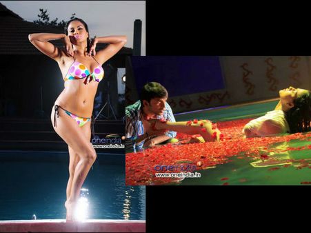 వీణా మాలిక్‌ చిత్రానికి సివిల్‌ కోర్టు స్టే ...వివాదం(ఫోటోపీచర్)