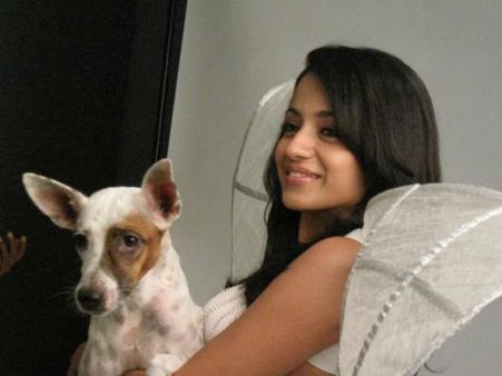 విషాదం: ప్రియ నేస్తాన్ని కోల్పోయిన హీరోయిన్ త్రిష