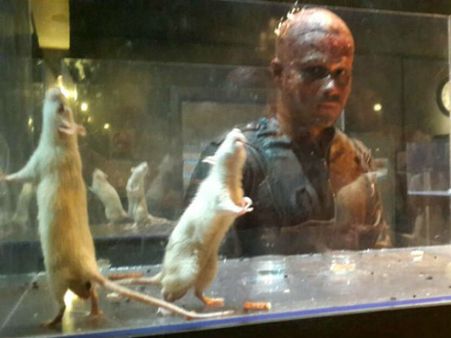 భయపెట్టే కిరాక్ లుక్‌లో...కిస్సుల హీరో! (ఫోటో)