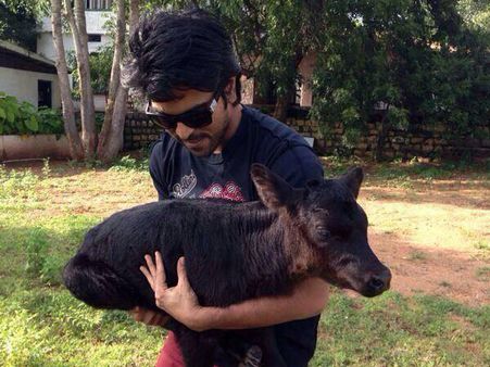 షూటింగ్ బ్రేక్ లో రామ్ చరణ్ ఇలా ఎంజాయ్ ( లేటెస్ట్ ఫోటో)