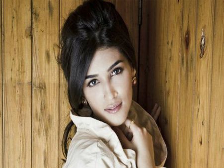 మహేష్ ఇవ్వలేని హిట్ మెగా హీరోలిస్తారా?