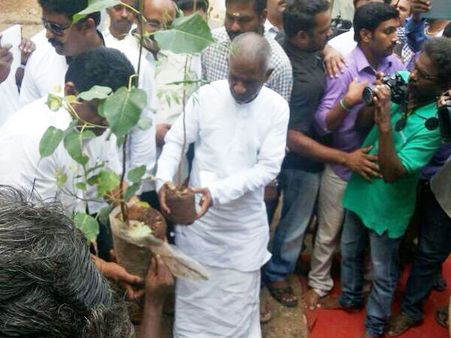 71 వేల చెట్లు: ఇళయారాజా పుట్టినరోజు ఇలా...(ఫోటో)
