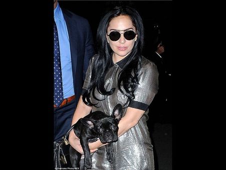 అతి చేసి పూర్తిగా ఇరుక్కుంది