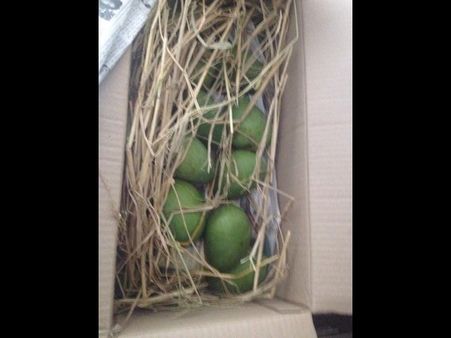 పవన్ కళ్యాణ్ ...నాకూ పంపాడోచ్