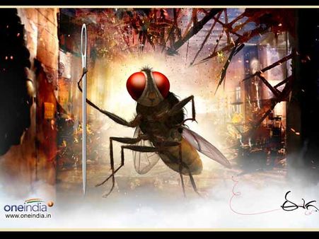 వావ్...టర్కిష్ భాషలోకి మన సినిమా