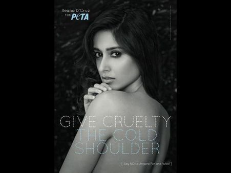 ‘పెటా’ కోసం ఇలియానా అందాలు ఆరబోత (ఫోటోస్)