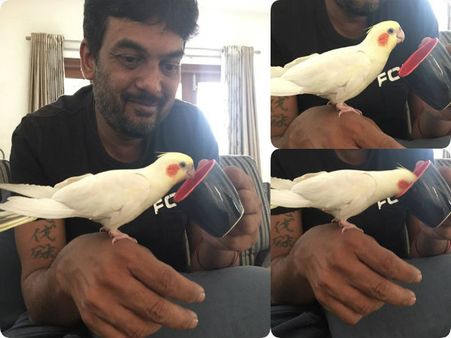 విచిత్రాలు చేస్తున్న పూరి చిలుక...! (ఫోటో)