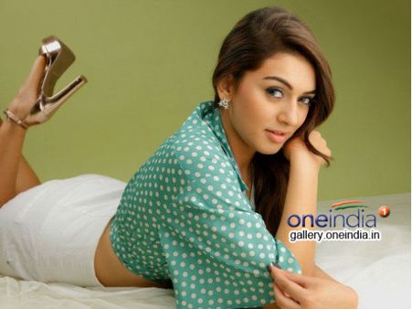 హాట్ హన్సిక కష్టాలు...తప్పదంటున్న డైరక్టర్